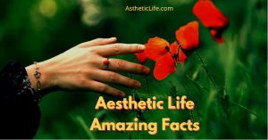 aesthetic life amazing facts