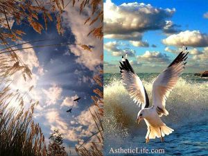 Aesthetic Life Eyes Quotes Astheticlife peace and cloud