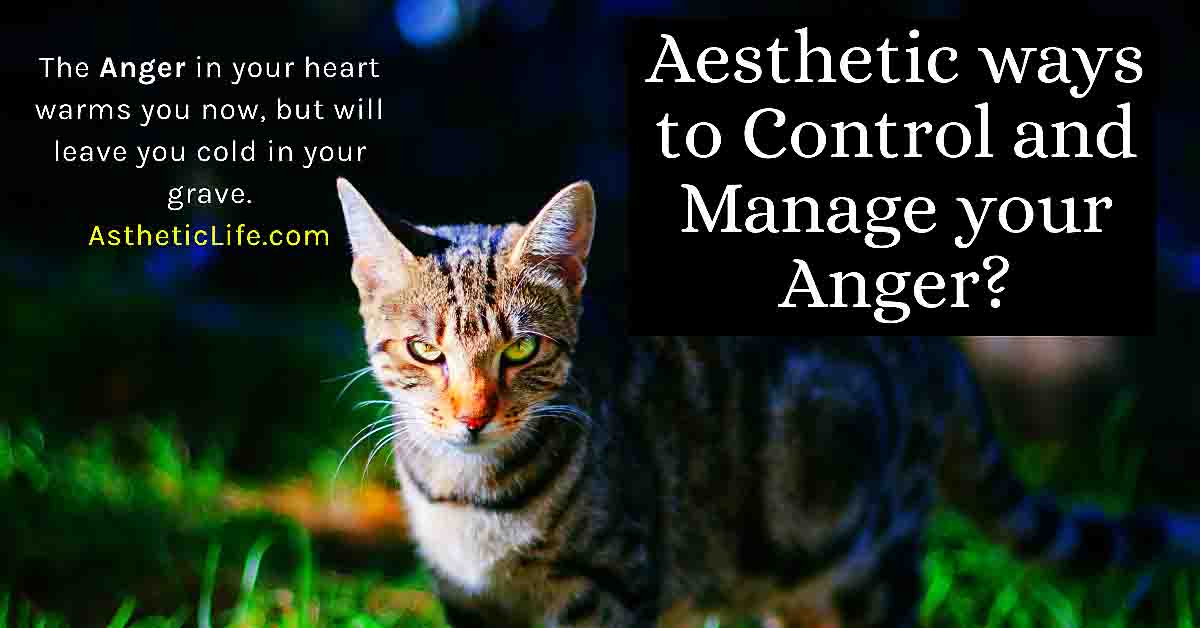 Aesthetic ways to Control and Manage your Anger