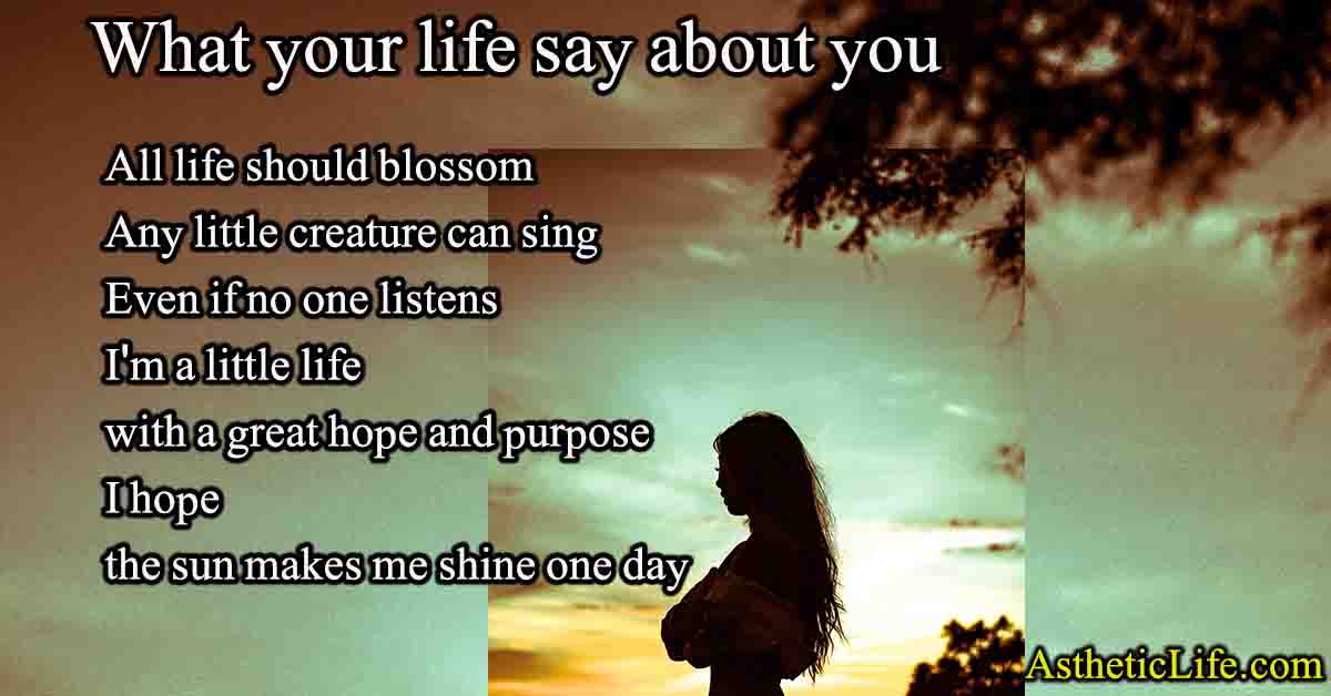 What your life say about you