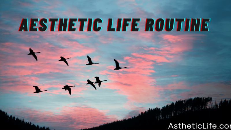 Aesthetic Productive Life Routine
