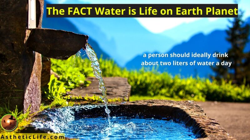 The FACT Water is Life on Earth Planet