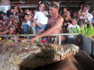 Fearless Trust Swimming and Playing with a Crocodile