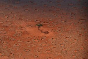 The Fairy Circles of Namibia Mysterious Locations