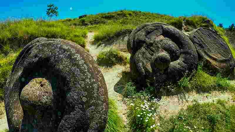 Unveiling the Mystery of Trovants | Nature’s Mysterious Growing Rocks