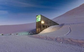 Global Seed Vault