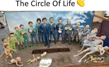 The circle of life body changing