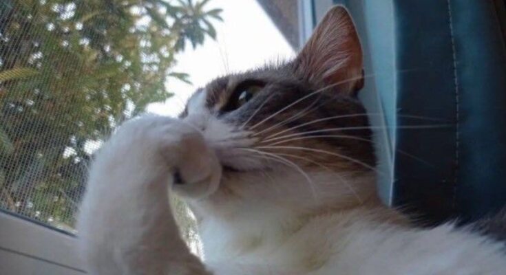 A Moment of Reflection Thinking About My Life and My Future