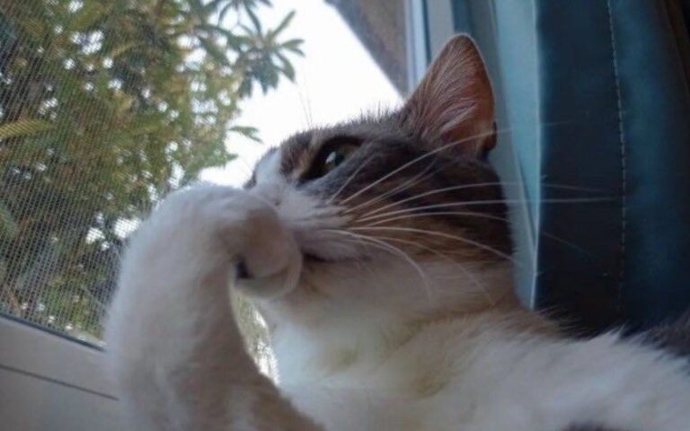 A Moment of Reflection Thinking About My Life and My Future