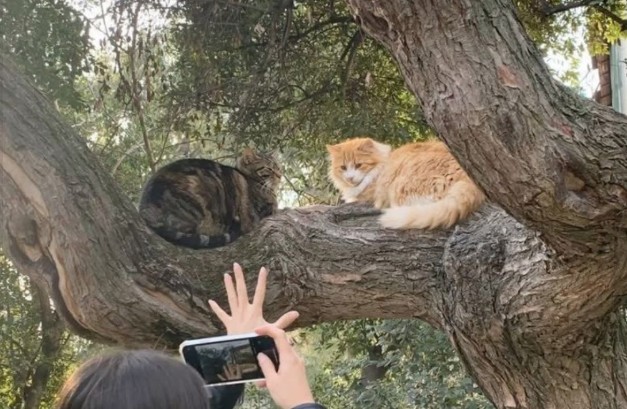 in the heart of nature, i find myself