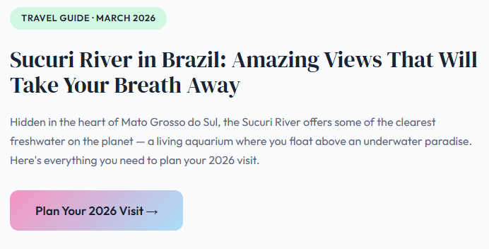 Sucuri River in Brazil: Amazing Views That Will Take Your Breath Away sucuri river in brazil amazing views that will take your breath away